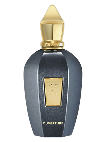 XERJOFF OUVERTURE EDP 100ml (Unisex)